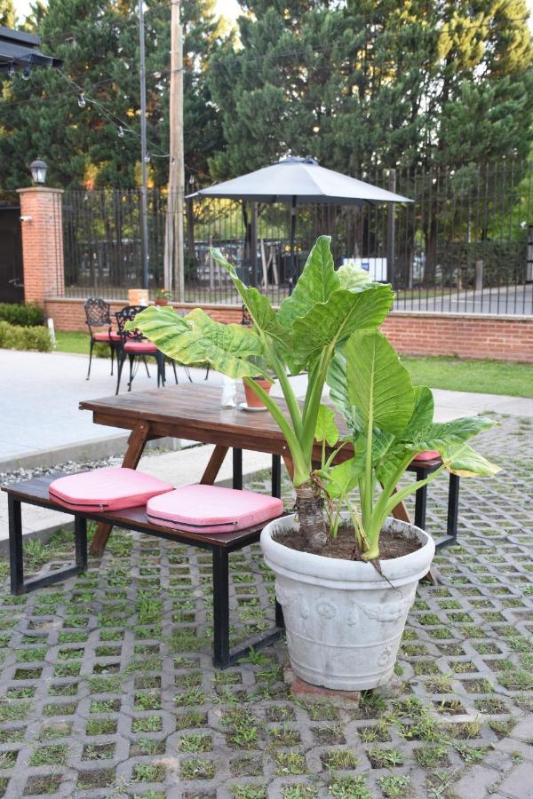 Hotel Casa Campus Pilar